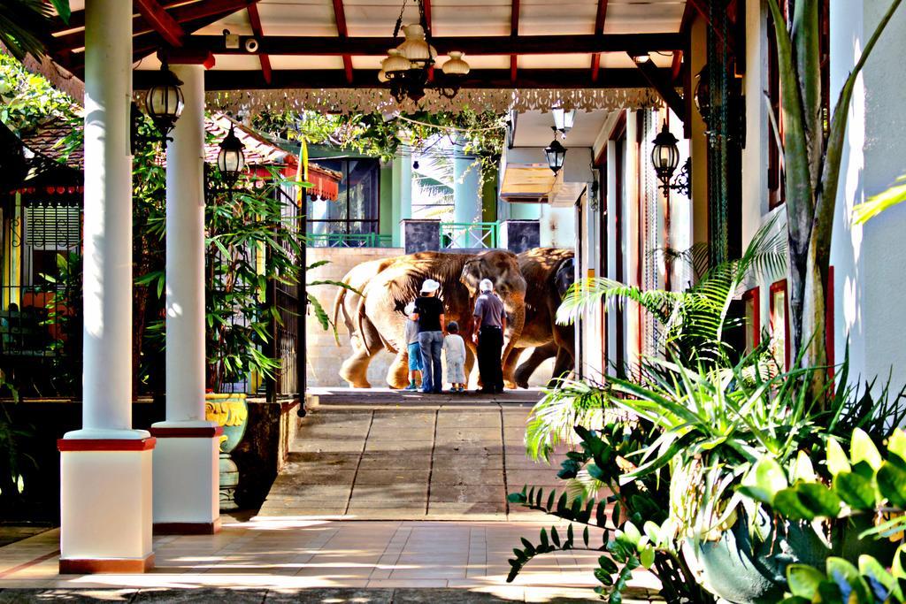פינאוואלה Green Land Guest House מראה חיצוני תמונה