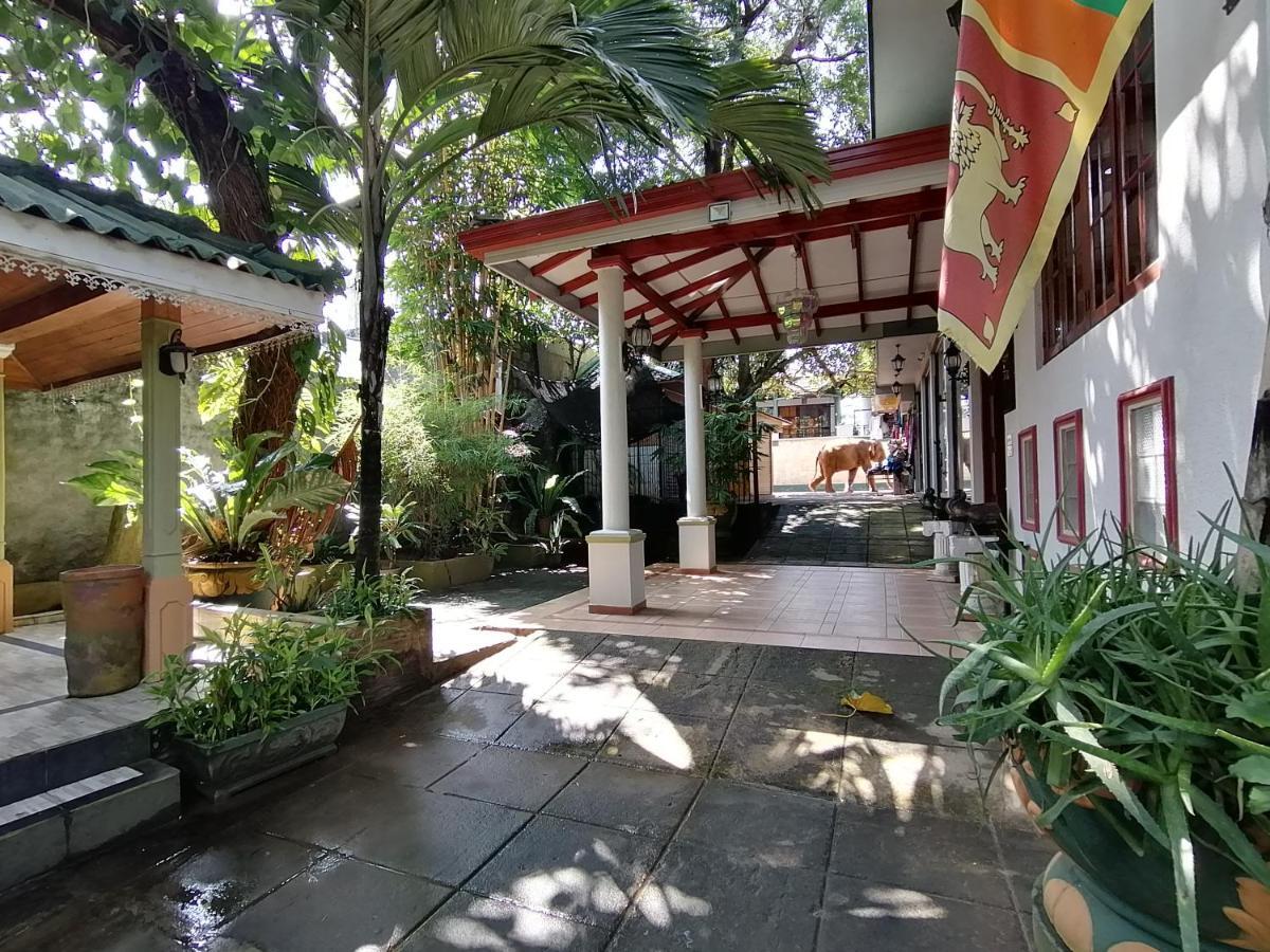 פינאוואלה Green Land Guest House מראה חיצוני תמונה