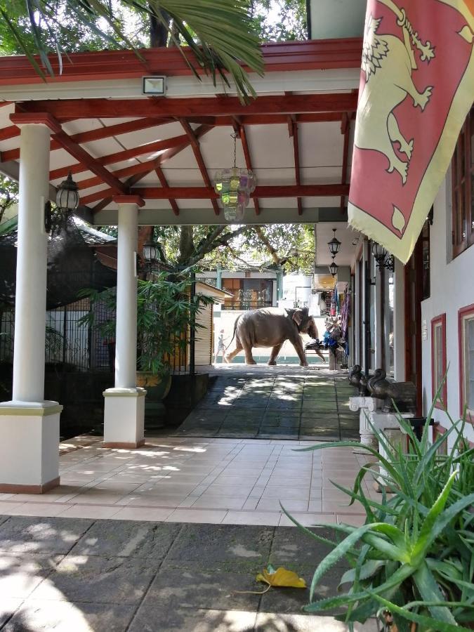 פינאוואלה Green Land Guest House מראה חיצוני תמונה
